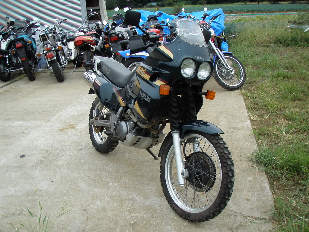Купить мотоцикл Yamaha XTZ660 Tenere 1998 фото 5